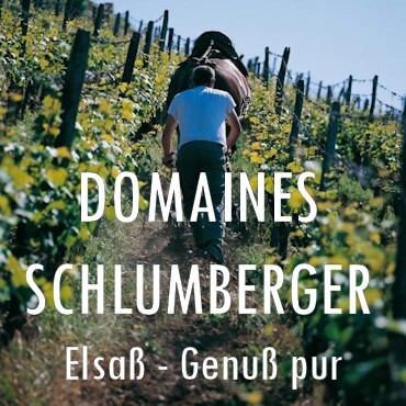 Domaines Schlumberger