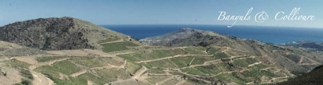 Banyuls & Collioure
