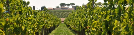 Bordeaux - AOC & Côtes