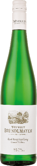 Bründlmayer Grüner Veltliner Berg Vogelsang  0,75l 
