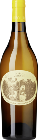 Weingut Fritz Wieninger Wiener gemischter Satz Ulm-Nussberg AT-BIO-402* 2022 0,75l 